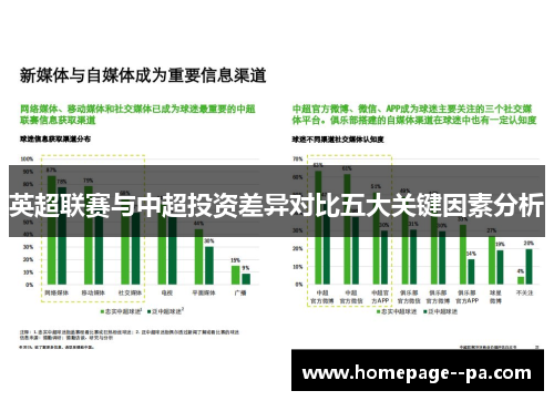 英超联赛与中超投资差异对比五大关键因素分析