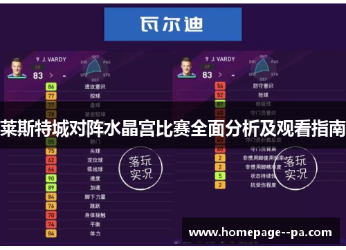 莱斯特城对阵水晶宫比赛全面分析及观看指南