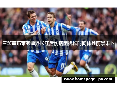 三笘薰布莱顿遭遇长红后伤病困扰长时间休养前景未卜